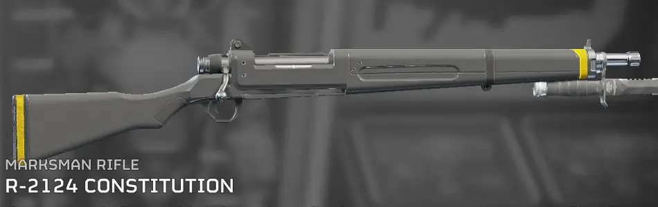 Marksman rifles in Helldivers 2, the R-2124 Constitution.