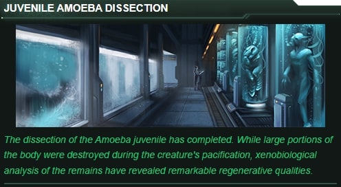 Stellaris space amoeba disscetion printscreen